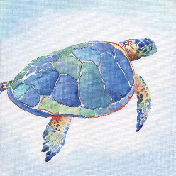 Turtles: Galapagos Sea Turtle I by Tava Studios