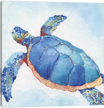 Galapagos Sea Turtle II Canvas Art Print - Tava Studios