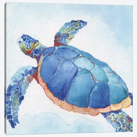 Galapagos Sea Turtle II Canvas Print #TAV140} by Tava Studios Canvas Art