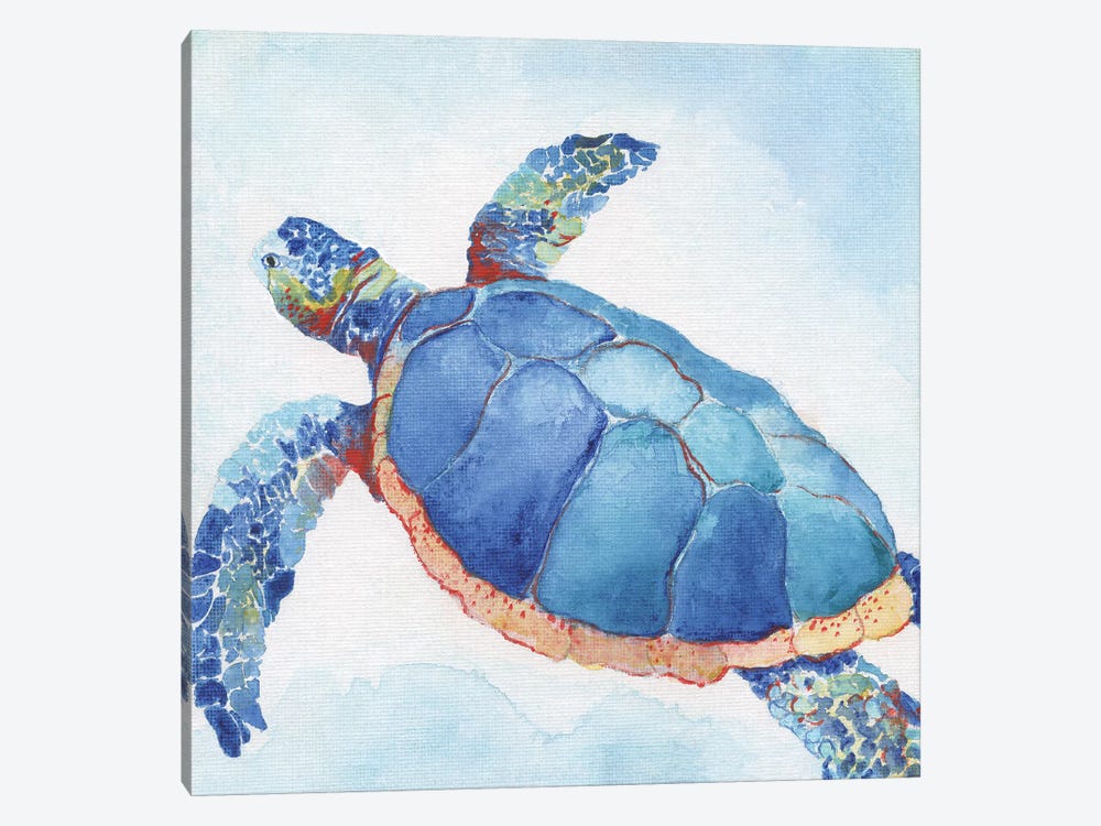 Galapagos Sea Turtle II by Tava Studios 1-piece Canvas Artwork