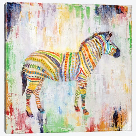 Magical Zebra Canvas Print #TAV144} by Tava Studios Canvas Print