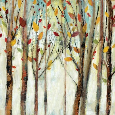 See the Beauty by Tava Studios framed canvas print