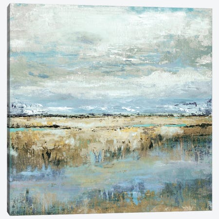 Coastal Marsh Canvas Print #TAV19} by Tava Studios Canvas Print