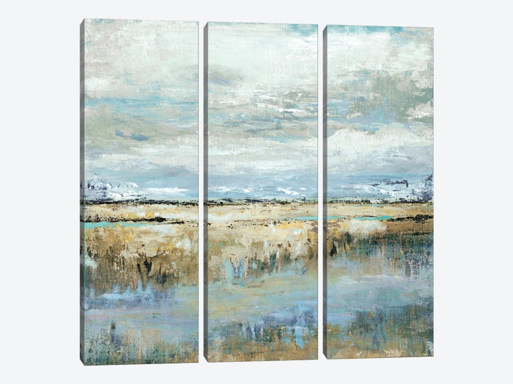 Coastal Marsh by Tava Studios 3-piece Canvas Print