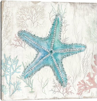 Coral and Shell III Canvas Art Print - Starfish Art