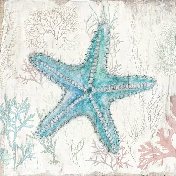 Starfish: Coral and Shell III by Tava Studios