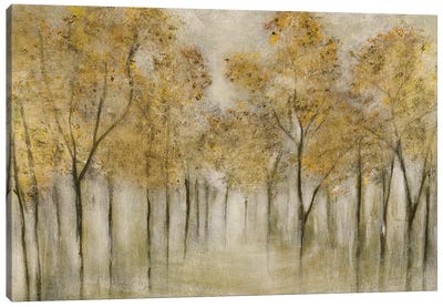Golden Spring Canvas Art Print - Tava Studios