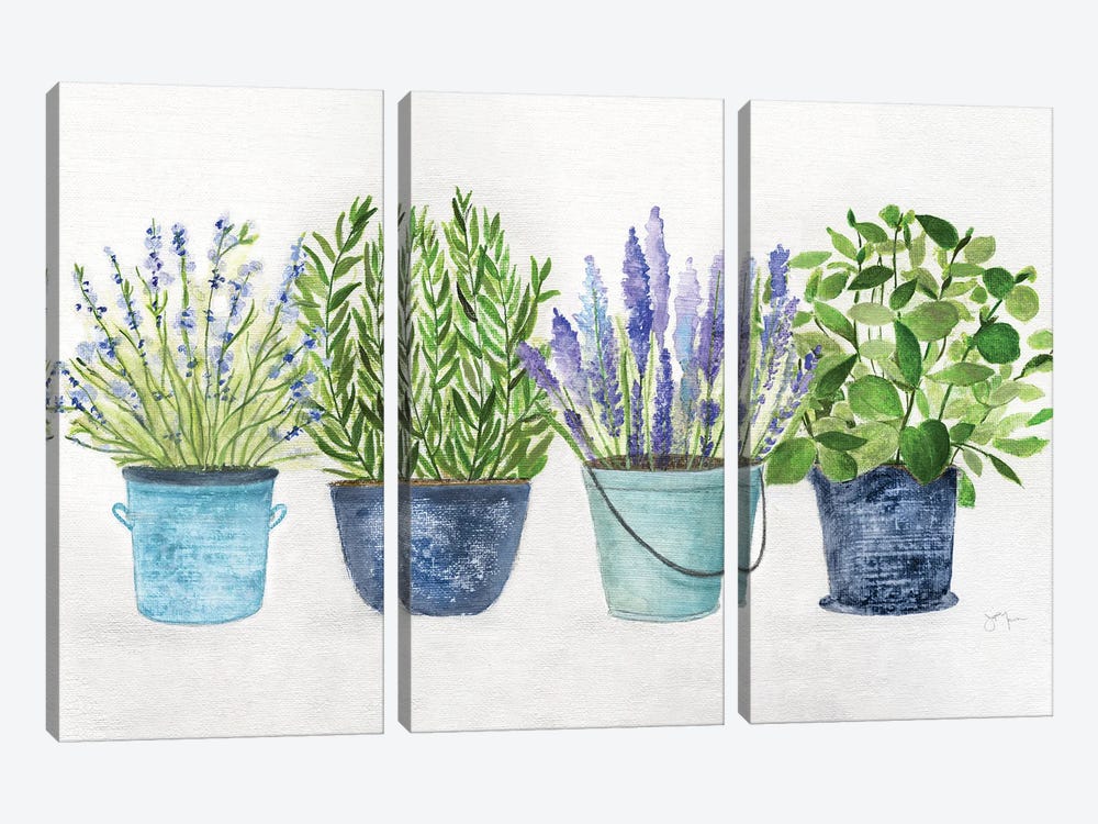 Fresh Herb Collection by Tava Studios 3-piece Canvas Art