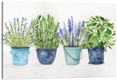 Fresh Herb Collection Canvas Art Print - Lavender Art