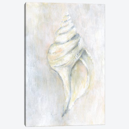 Soft Shell I Canvas Print #TAV247} by Tava Studios Canvas Wall Art