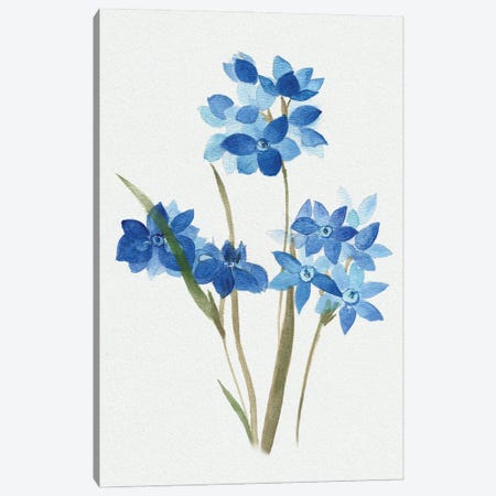 Blue Blossom Botanical I Canvas Print #TAV255} by Tava Studios Art Print