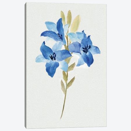 Blue Blossom Botanical III Canvas Print #TAV257} by Tava Studios Art Print