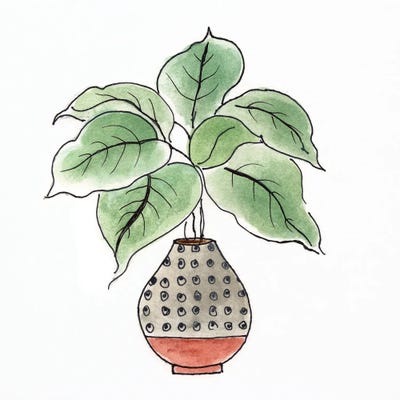 Boho Greenery I by Tava Studios art print