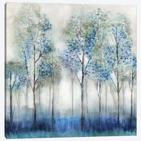 Dream Forest Canvas Print #TAV262} by Tava Studios Canvas Print