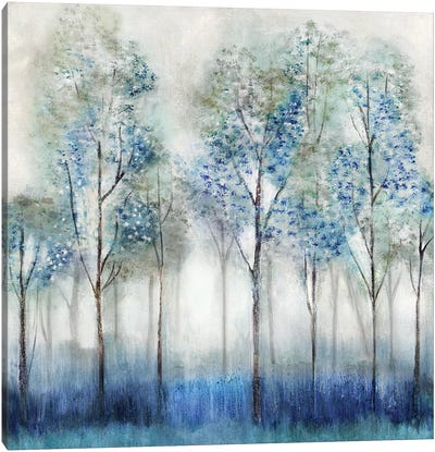 Dream Forest Canvas Art Print - Tava Studios