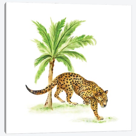 Jungle Cat I Canvas Print #TAV310} by Tava Studios Canvas Print