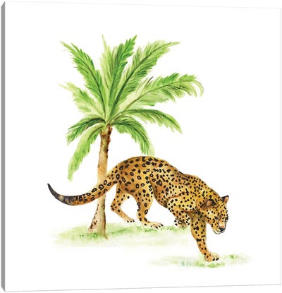 Jungle Cat I Canvas Art Print - Tava Studios