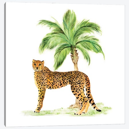 Jungle Cat II Canvas Print #TAV311} by Tava Studios Canvas Print