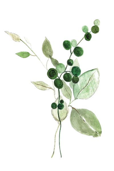 Sprigs In Green I by Tava Studios framed canvas print