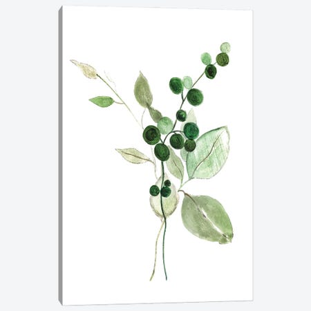 Sprigs In Green I Canvas Print #TAV316} by Tava Studios Canvas Art