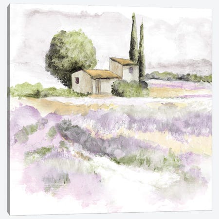 Elegant Lavender III Canvas Print #TAV319} by Tava Studios Canvas Art Print