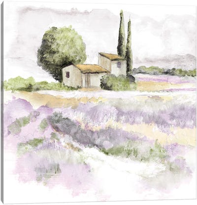 Elegant Lavender III Canvas Art Print - Tava Studios