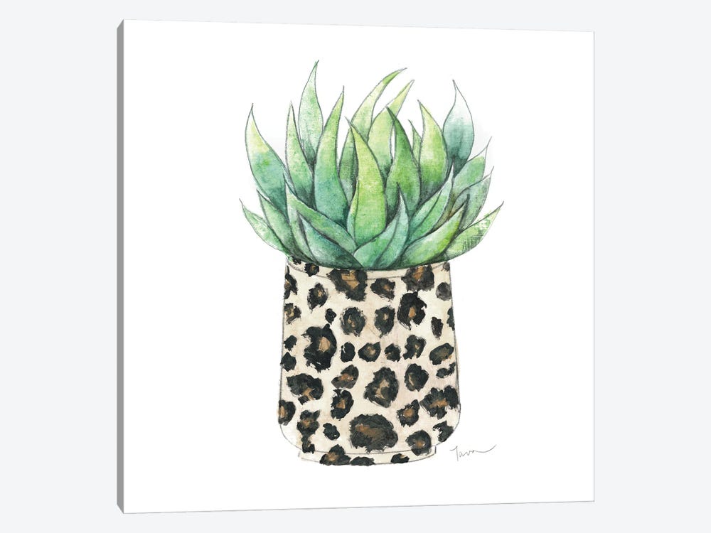 Spotted Agave by Tava Studios 1-piece Canvas Wall Art