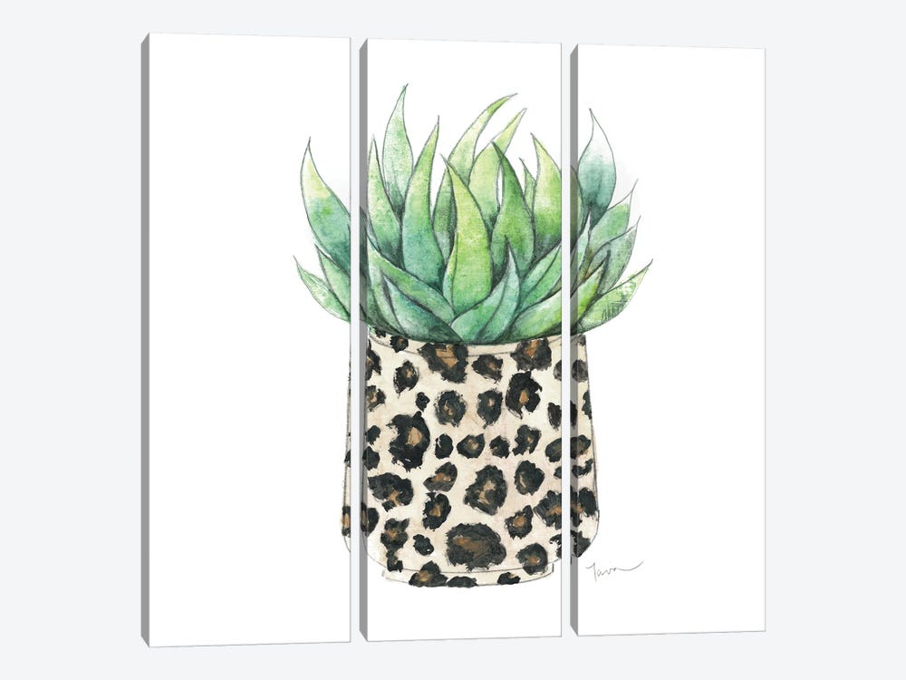 Spotted Agave by Tava Studios 3-piece Canvas Wall Art