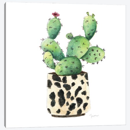 Spotted Cactus Canvas Print #TAV322} by Tava Studios Canvas Art