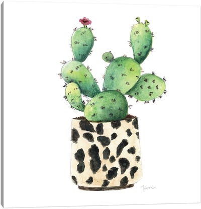 Spotted Cactus Canvas Art Print - Tava Studios