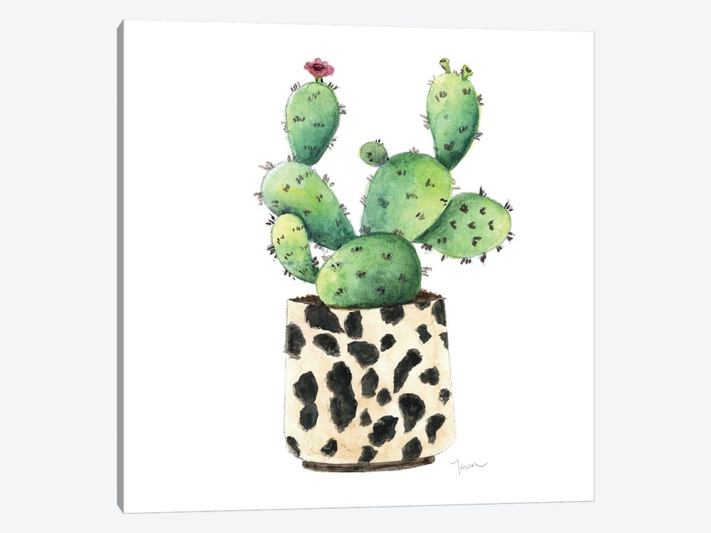 Spotted Cactus by Tava Studios 1-piece Canvas Art Print