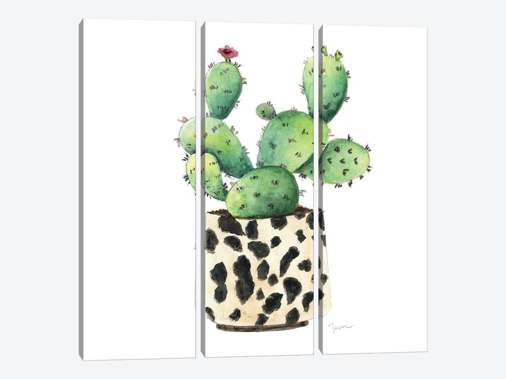 Spotted Cactus by Tava Studios 3-piece Art Print
