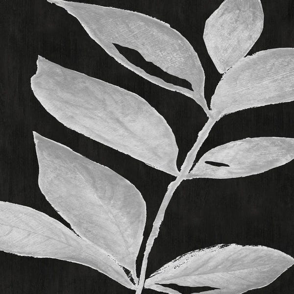 Black & White Florals: Translucent Silhouette I by Tava Studios