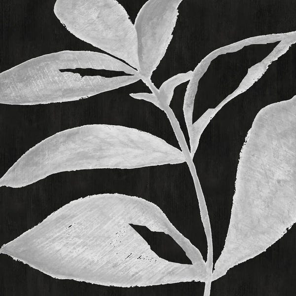 Black & White Florals: Translucent Silhouette II by Tava Studios