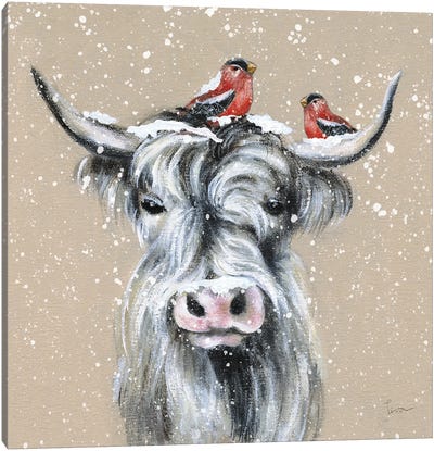 Playful Winter Canvas Art Print - Highland Cow Art