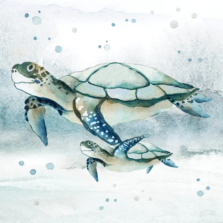 Swim Lessons II by Tava Studios wall art