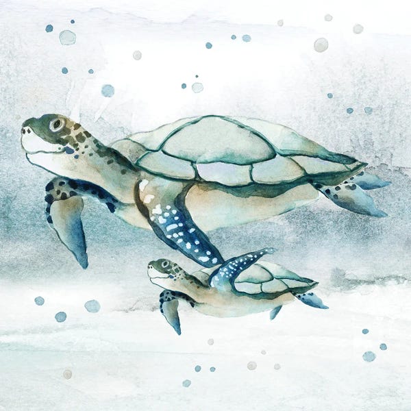 Turtles: Swim Lessons II by Tava Studios