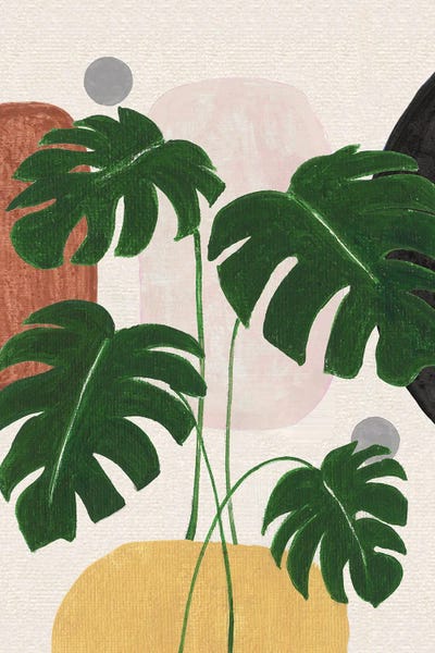 Contemporary Nature I by Tava Studios framed canvas print