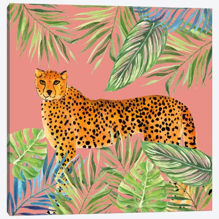 Tropical Cat II Canvas Print #TAV368} by Tava Studios Canvas Artwork