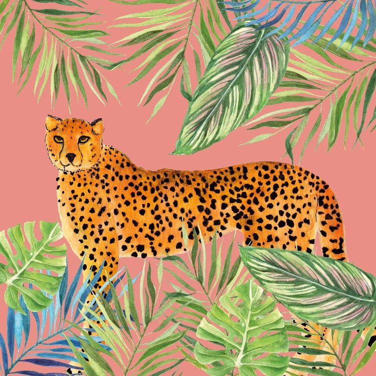 Tropical Cat II