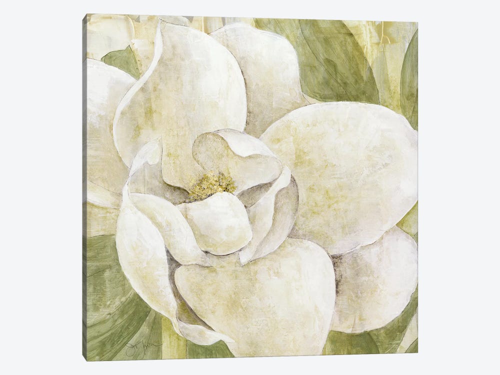 Magnolia Dolce by Tava Studios 1-piece Canvas Artwork
