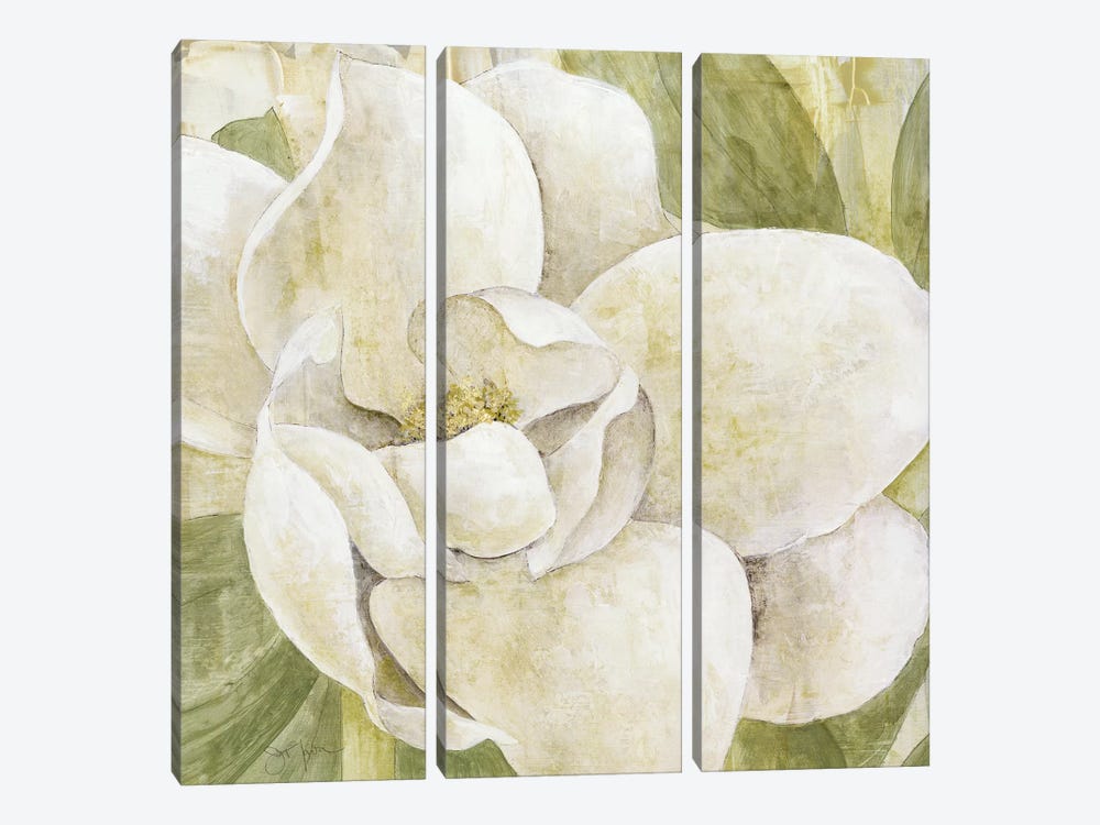 Magnolia Dolce by Tava Studios 3-piece Canvas Art