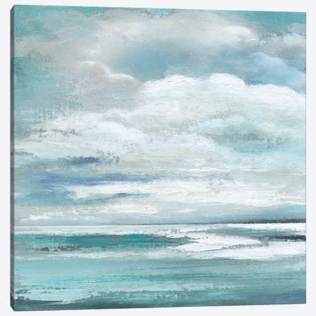 Billowing Clouds I Canvas Print #TAV69} by Tava Studios Canvas Art