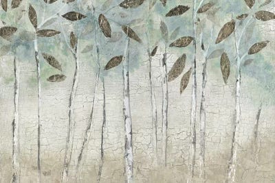 Rain Soft Woods by Tava Studios canvas print