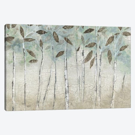 Rain Soft Woods Canvas Print #TAV83} by Tava Studios Canvas Art