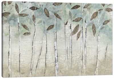 Rain Soft Woods Canvas Art Print - Tava Studios