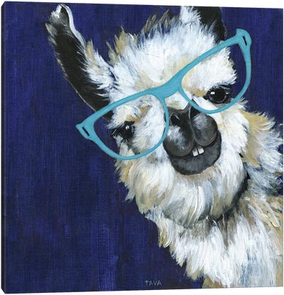 Gentleman Llama Canvas Art Print - Farm Animal Art