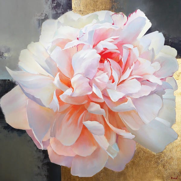 Peonies: Rosa Ancora by Tatyana Yabloed