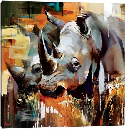 Nights in White Shine Canvas Art Print - Rhinoceros Art