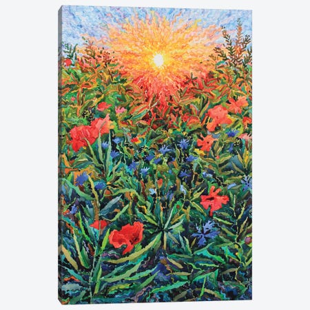Poppies And Cornflowers In The Field Canvas Print #TBA103} by Tanbelia Canvas Wall Art